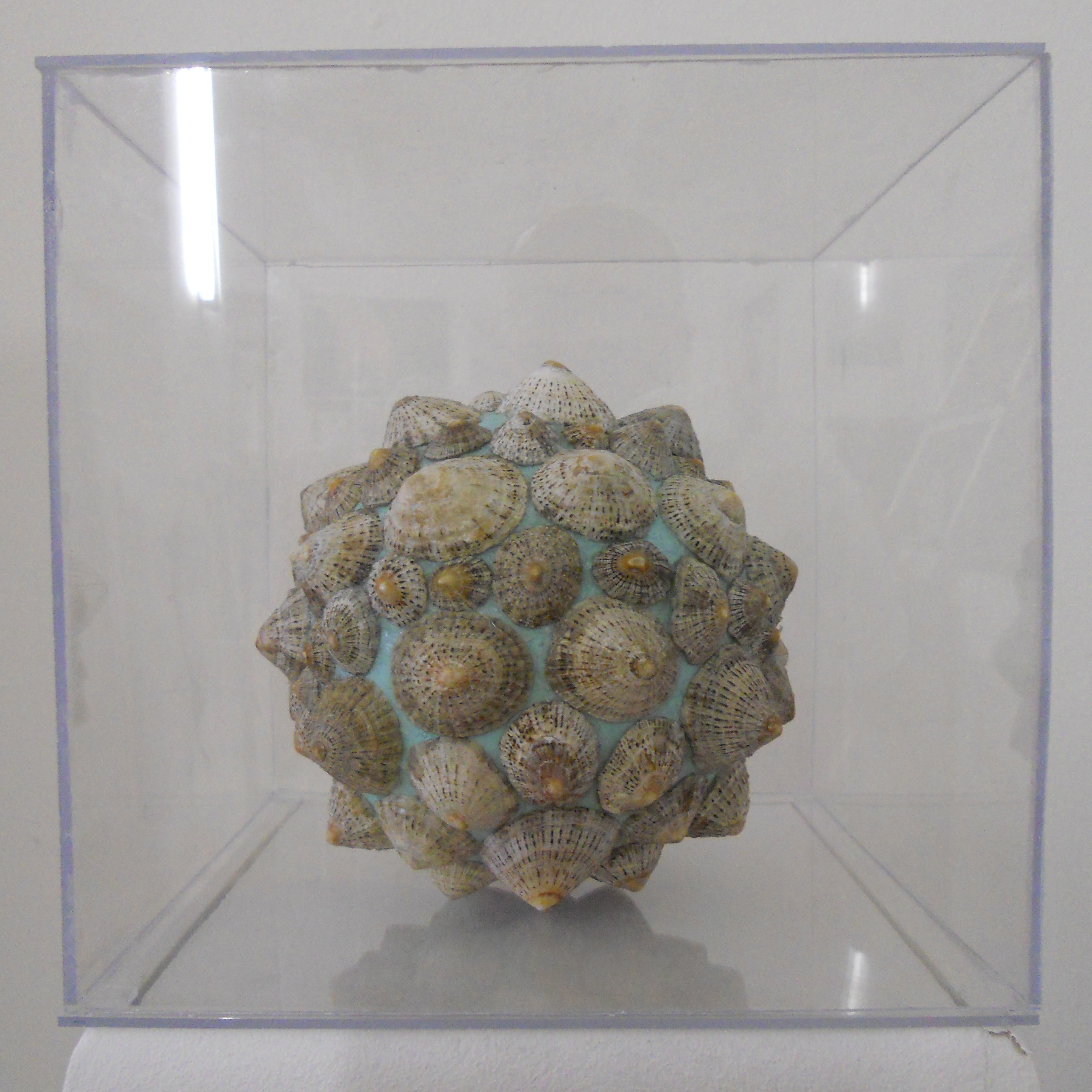 MW 25 (Hohe Aufl&ouml;sung)